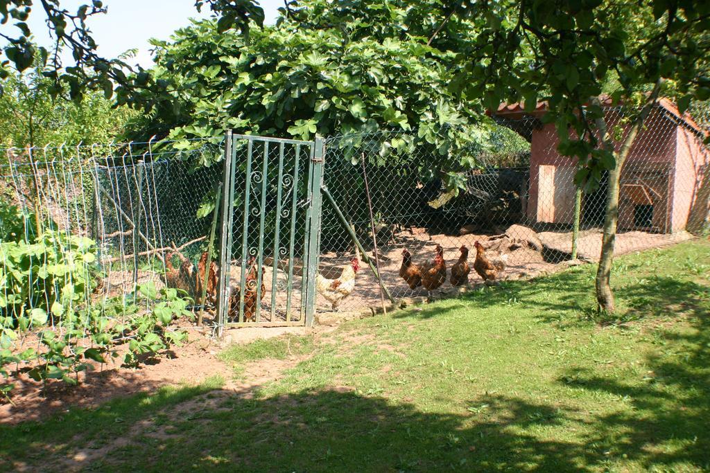 Fonte San Pedrin Guest House Cajide Ngoại thất bức ảnh